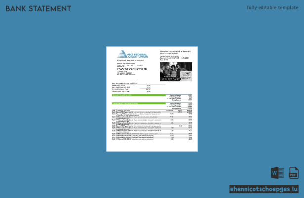 USA APCI Federal Credit Union Kontoauszug – Beispiel-Word-Vorschau